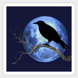 Crow Raven Corvid With Moon Magnet